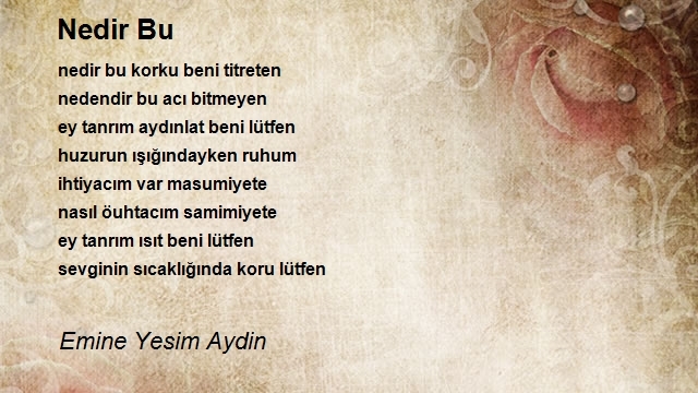 Emine Yesim Aydin