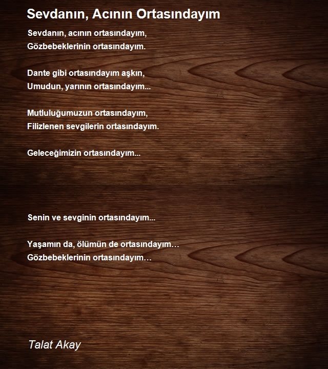 Talat Akay