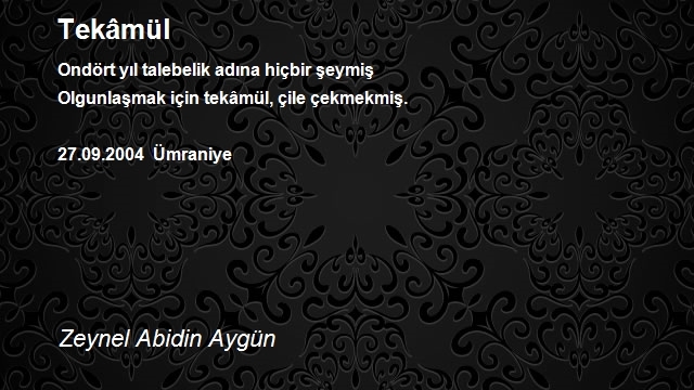 Zeynel Abidin Aygün