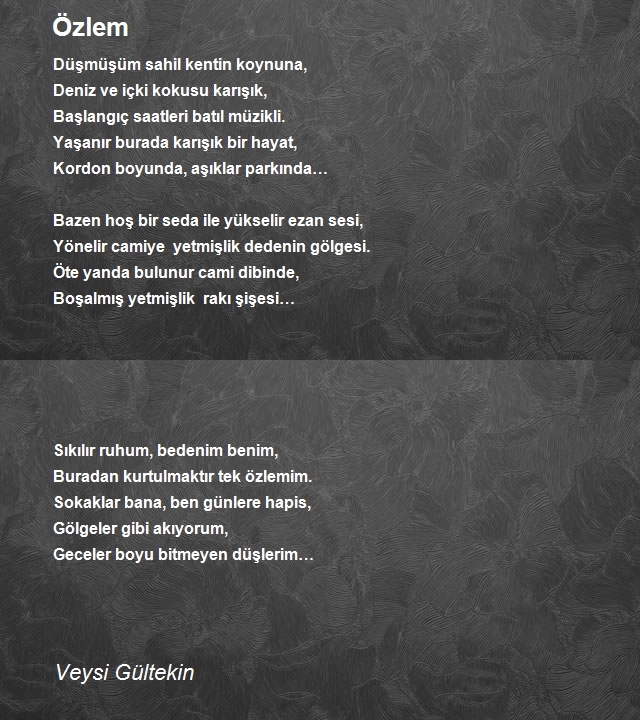 Veysi Gültekin