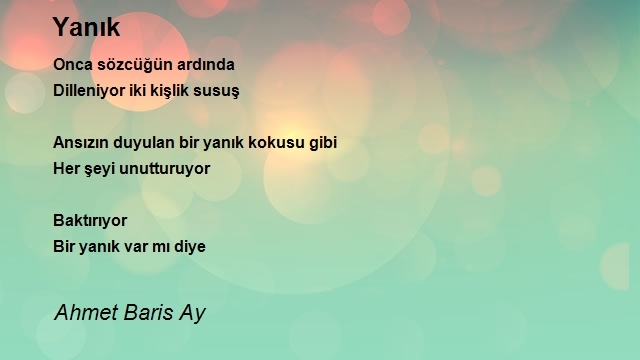 Ahmet Baris Ay