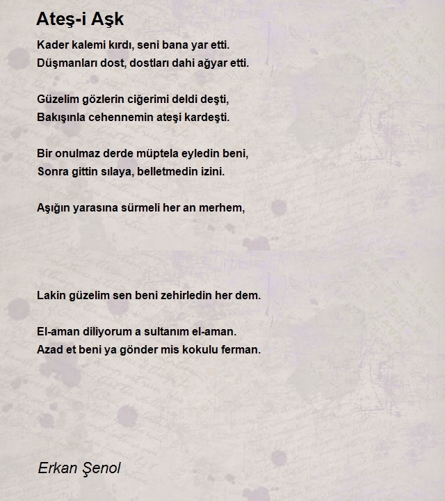 Erkan Şenol