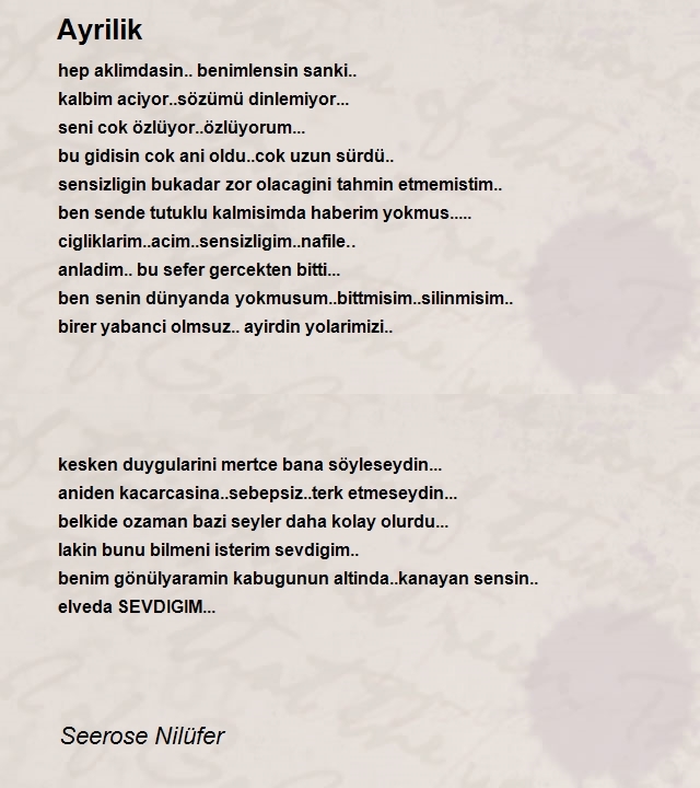 Seerose Nilüfer