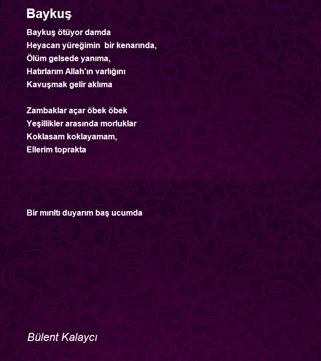 Bülent Kalaycı