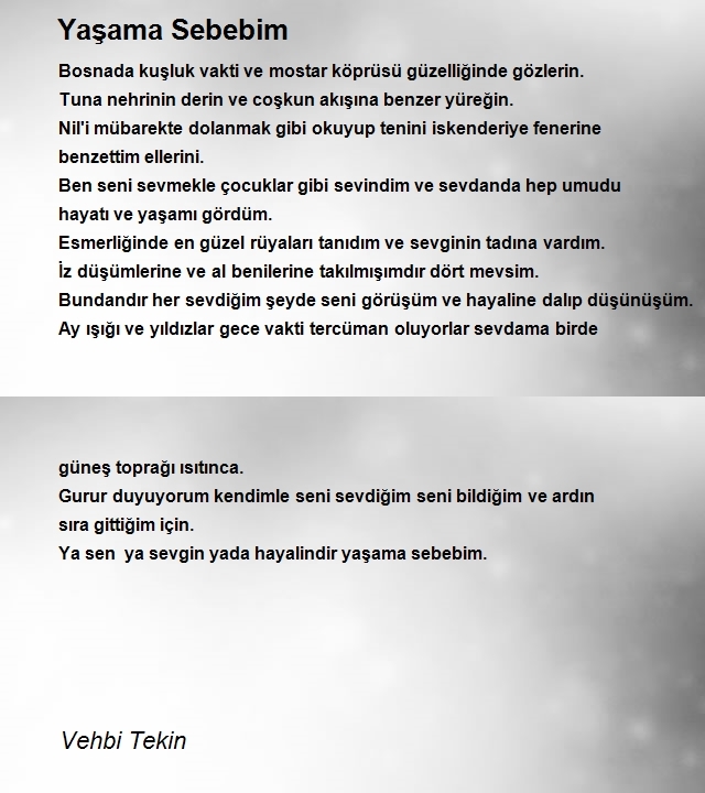 Vehbi Tekin