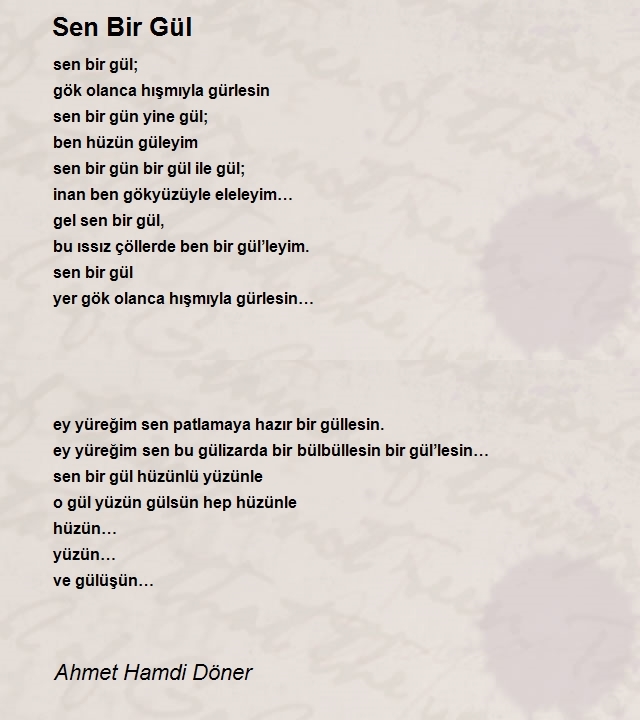 Ahmet Hamdi Döner