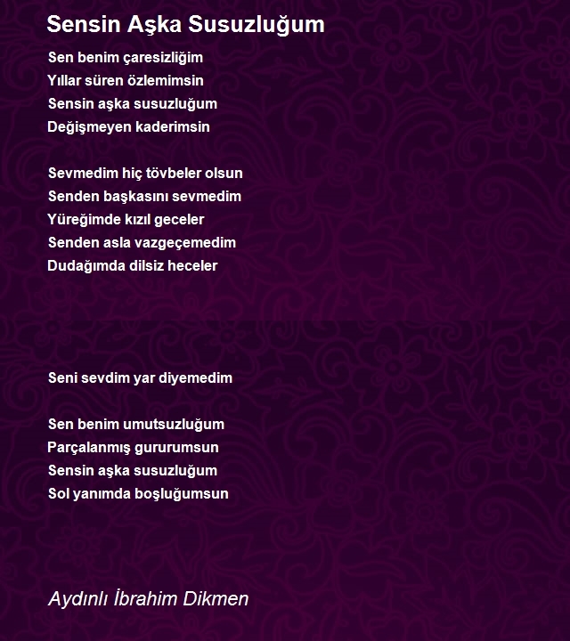 İbrahim Dikmen 2