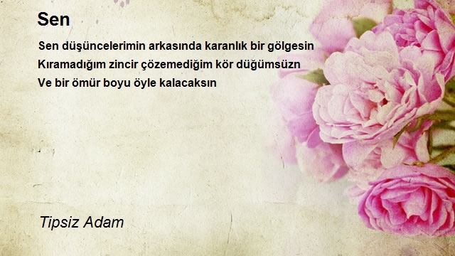 Tipsiz Adam