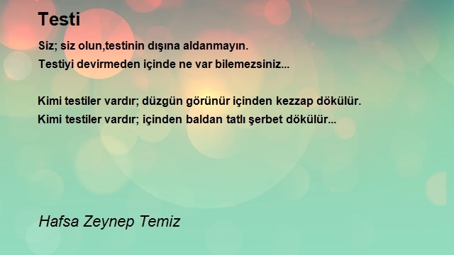 Hafsa Zeynep Temiz