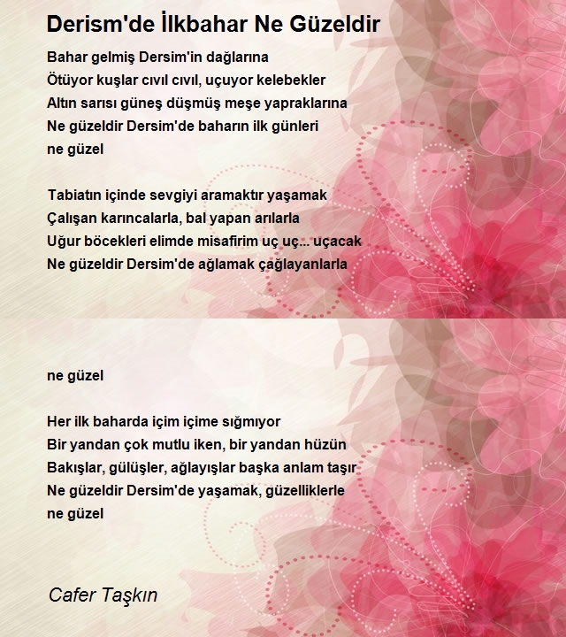 Cafer Taşkın