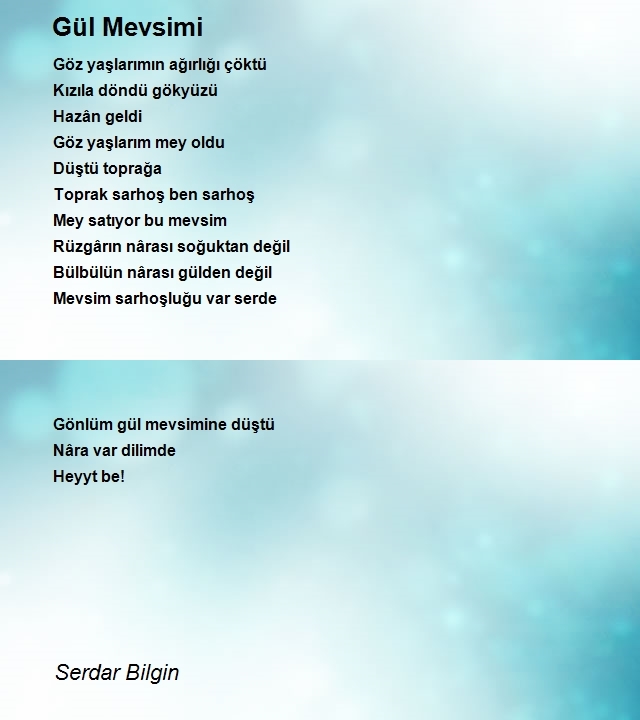 Serdar Bilgin