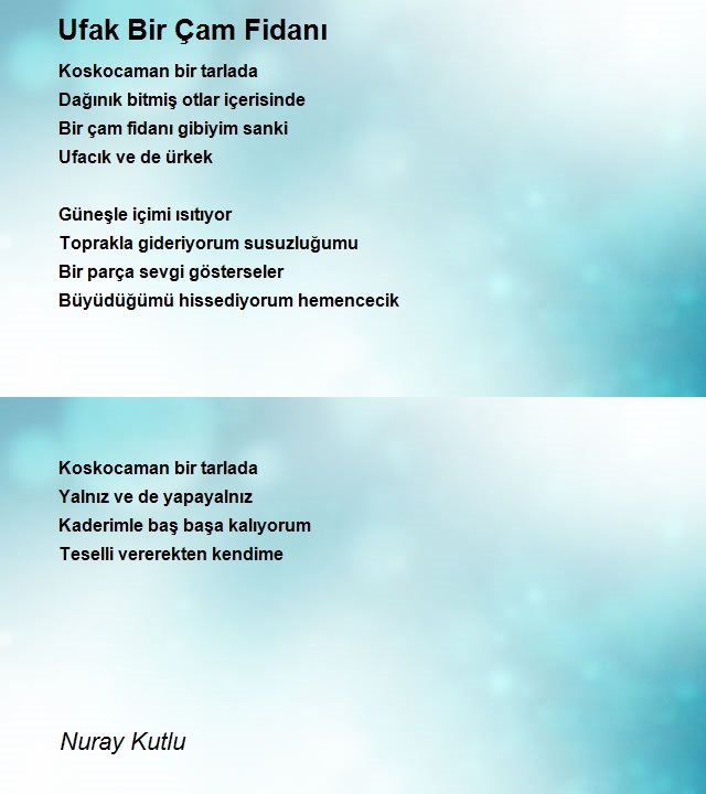 Nuray Kutlu