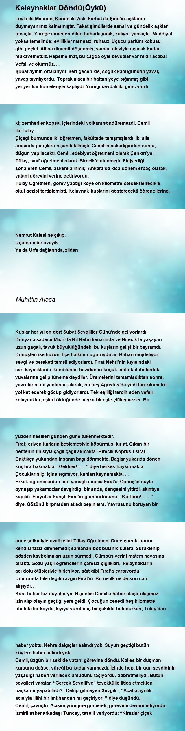 Muhittin Alaca