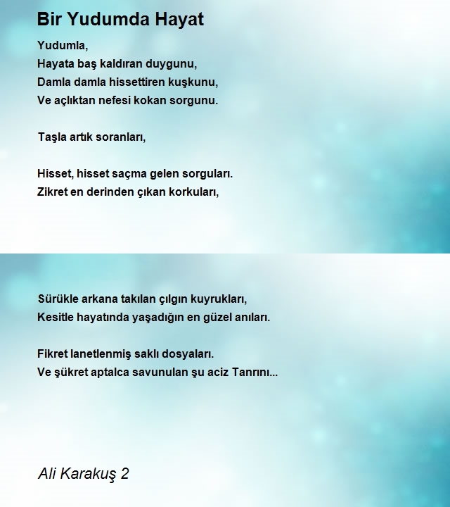 Ali Karakuş 2