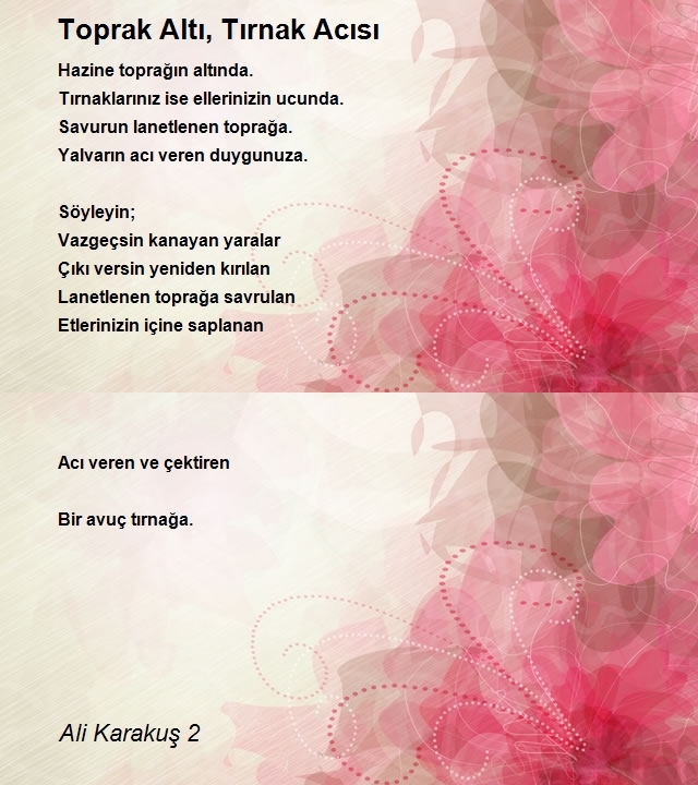 Ali Karakuş 2