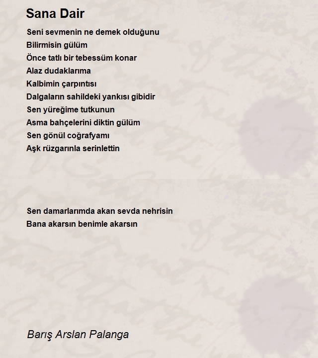 Barış Arslan Palanga