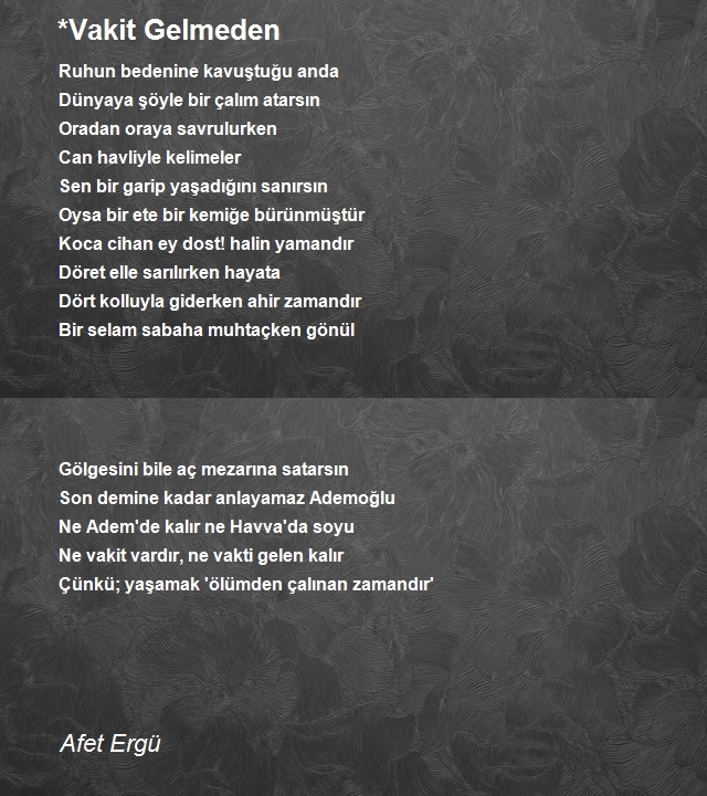 Afet Ergü