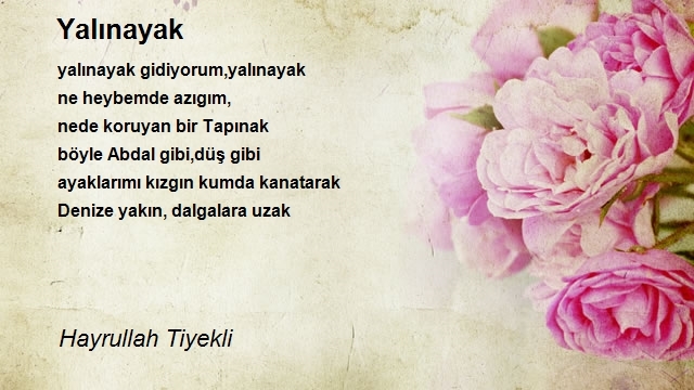 Hayrullah Tiyekli