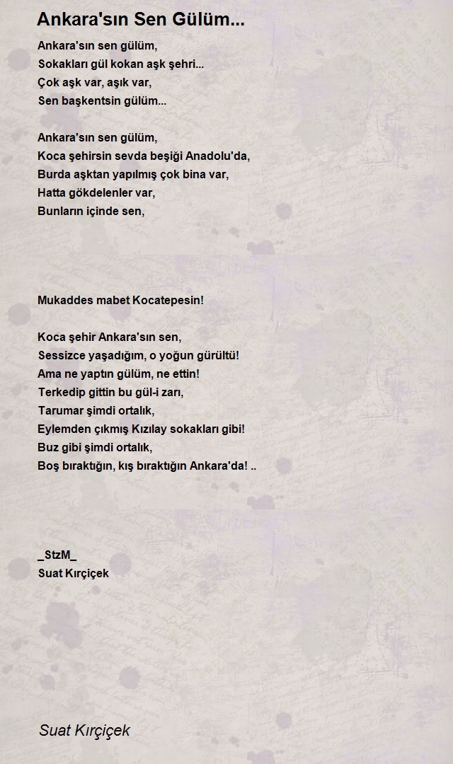 Suat Kırçiçek