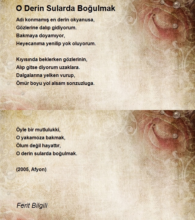 Ferit Bilgili