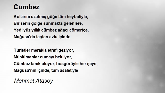 Mehmet Atasoy