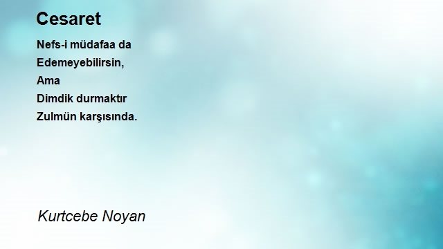 Kurtcebe Noyan