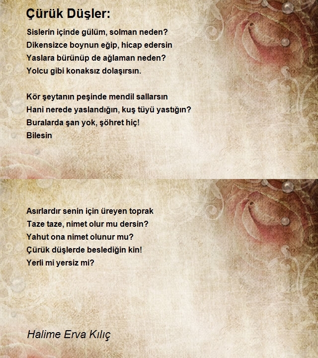 Halime Erva Kılıç