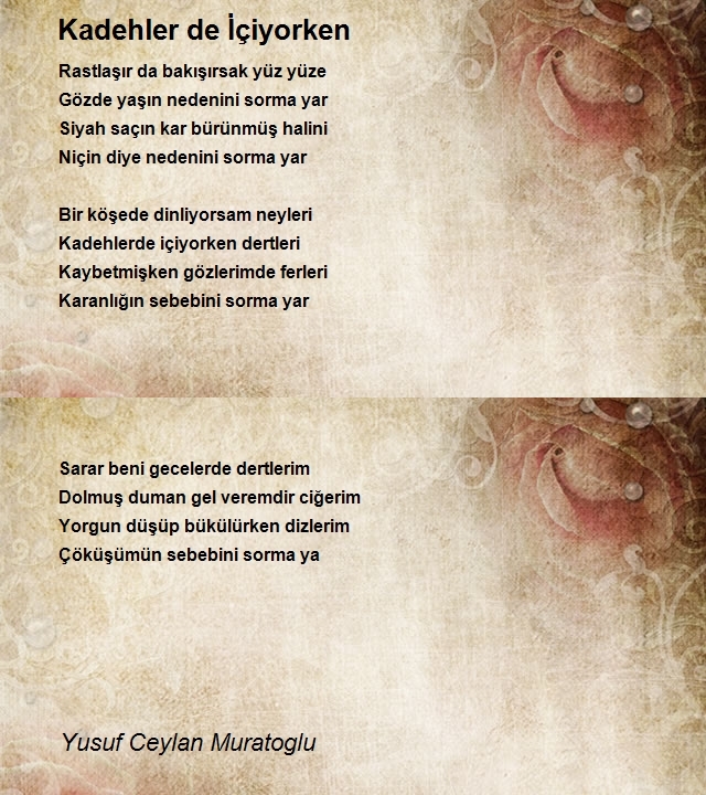 Yusuf Ceylan Muratoglu