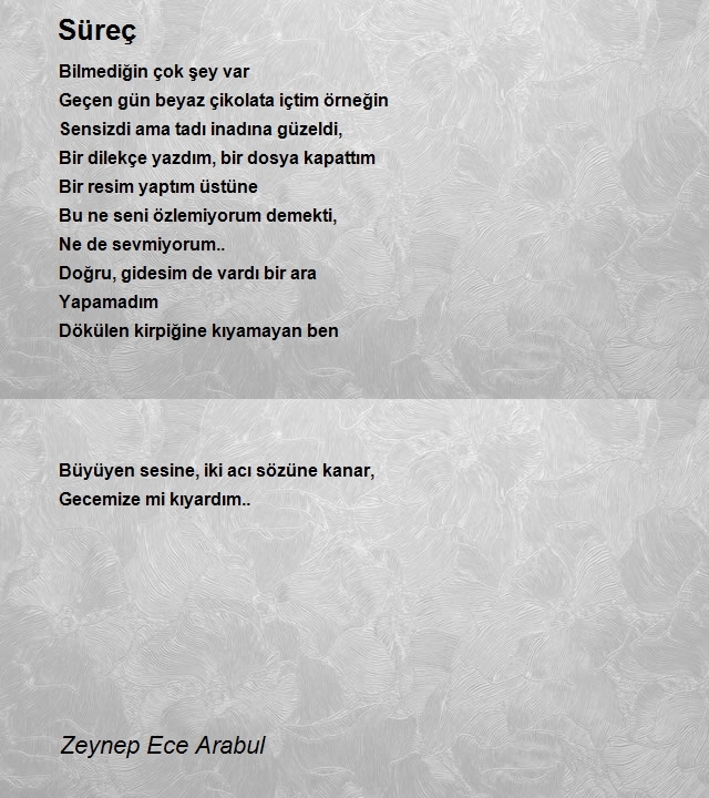 Zeynep Ece Arabul