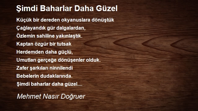 Mehmet Nasır Doğruer