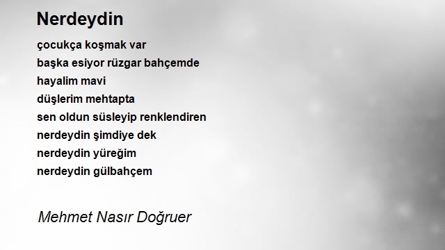 Mehmet Nasır Doğruer