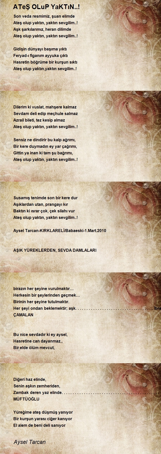 Aysel Tarcan