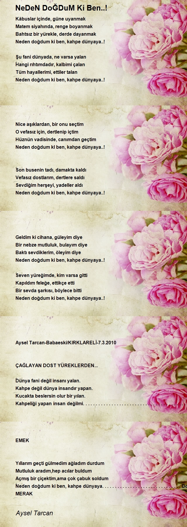 Aysel Tarcan