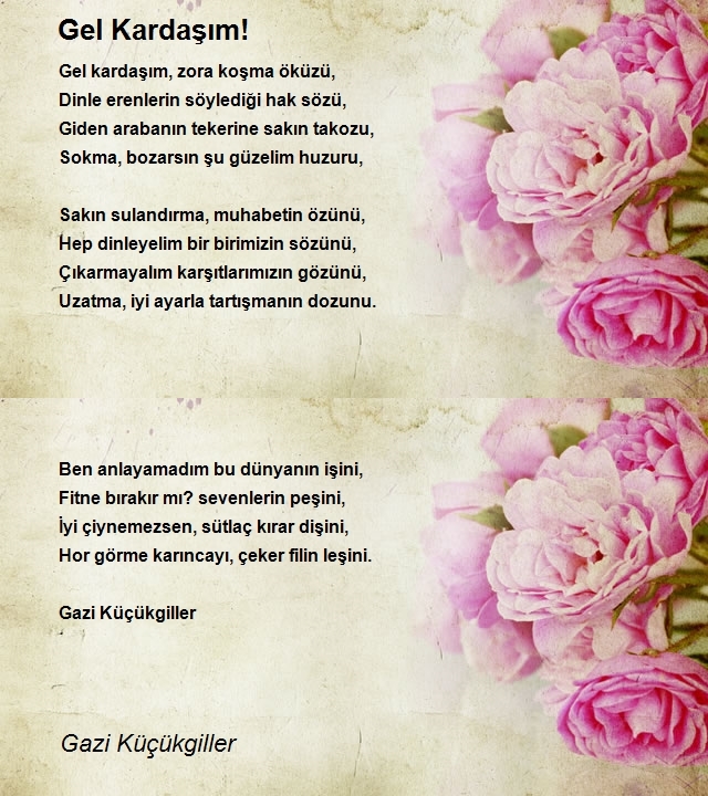 Gazi Küçükgiller