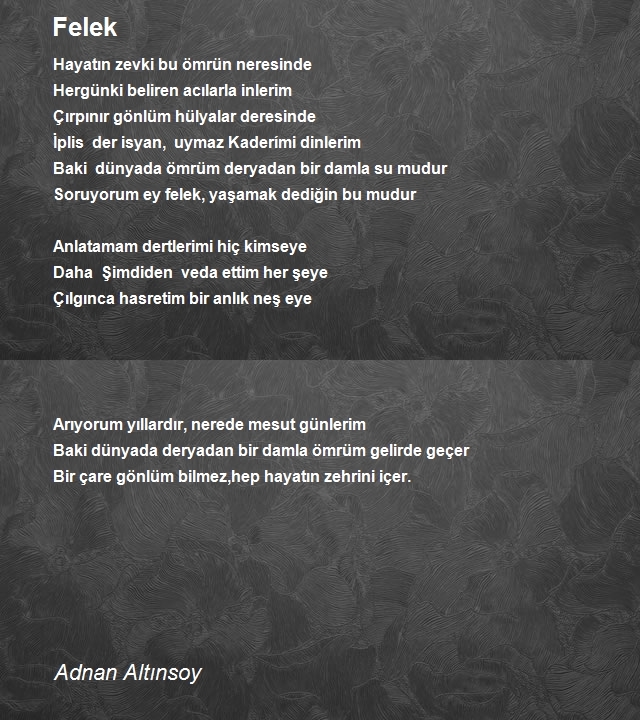 Adnan Altınsoy