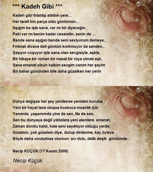 Necip Küçük