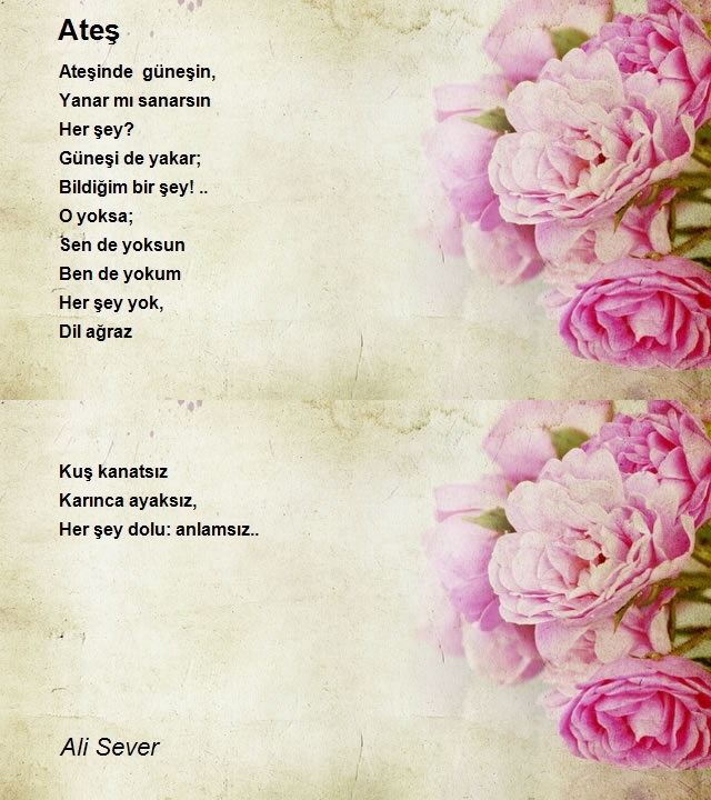 Ali Sever