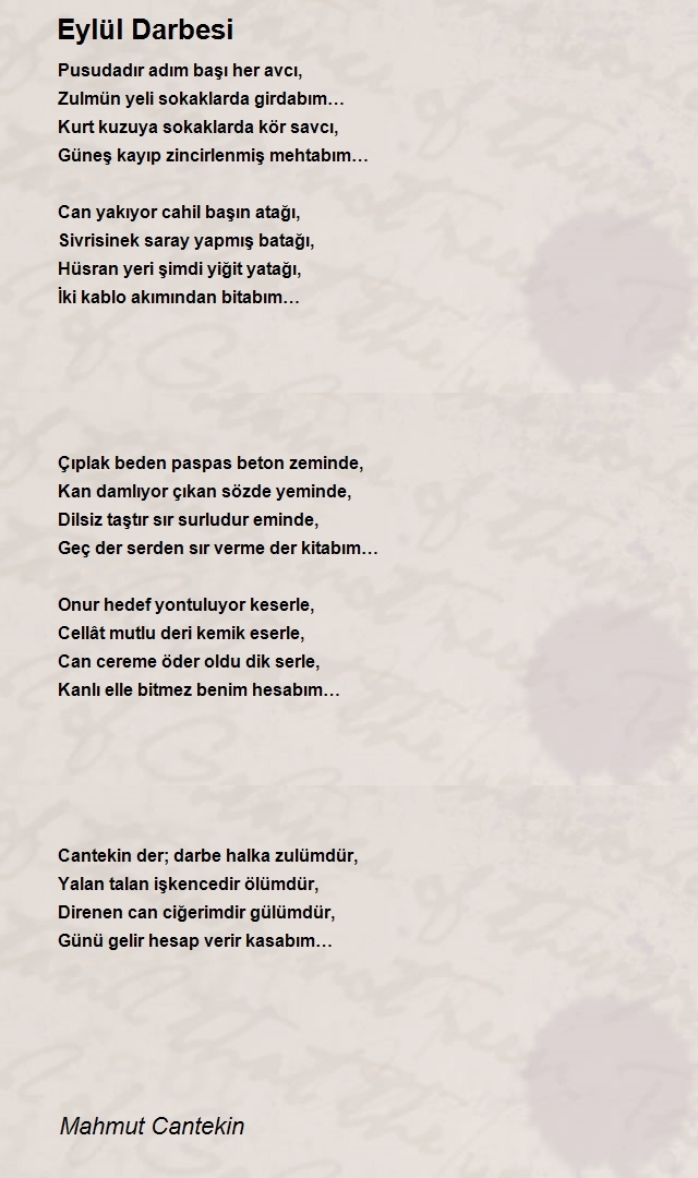 Mahmut Cantekin