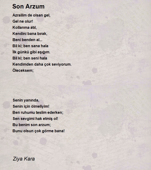 Ziya Kara