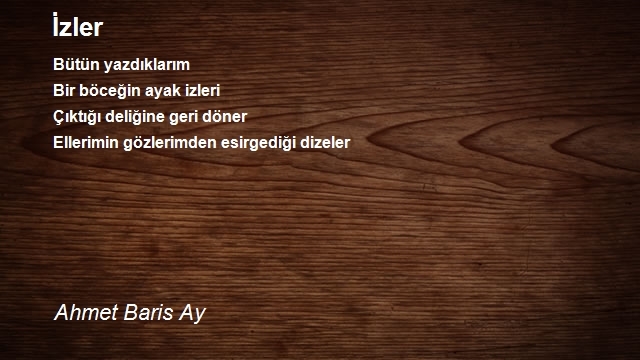 Ahmet Baris Ay