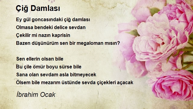 İbrahim Ocak