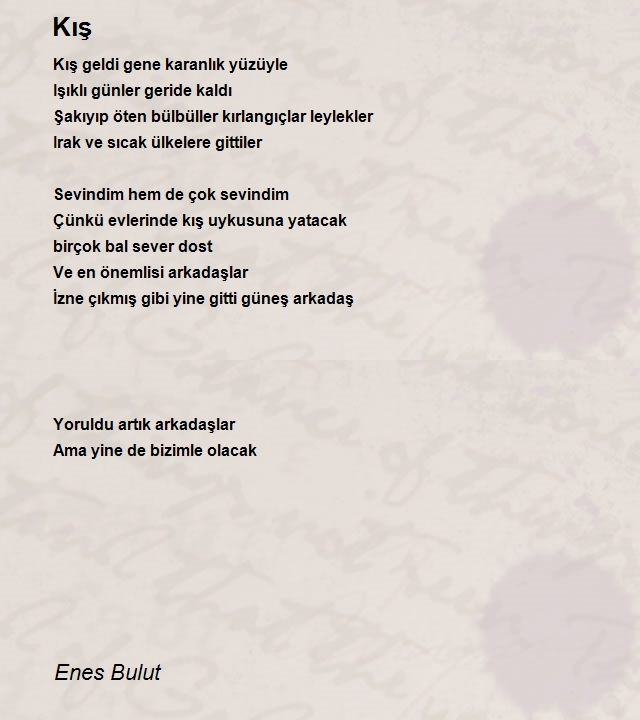 Enes Bulut