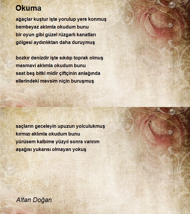 Altan Doğan