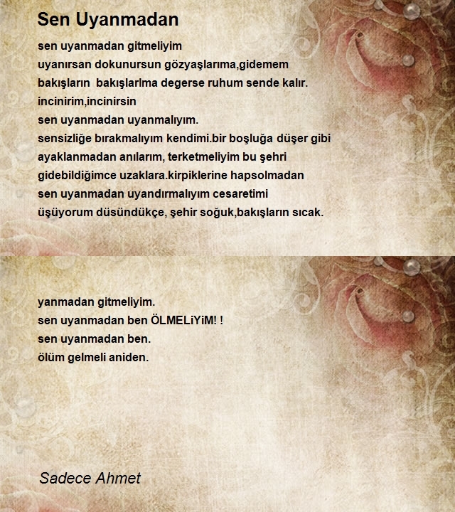 Sadece Ahmet