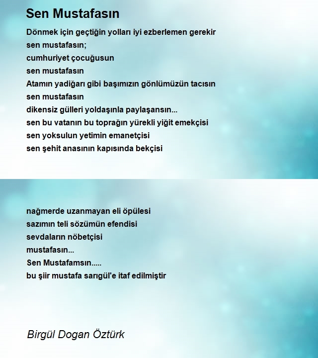 Birgül Dogan Öztürk