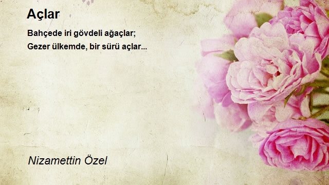 Nizamettin Özel