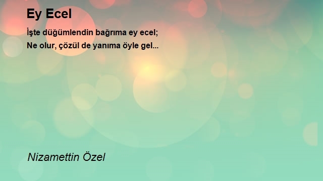 Nizamettin Özel