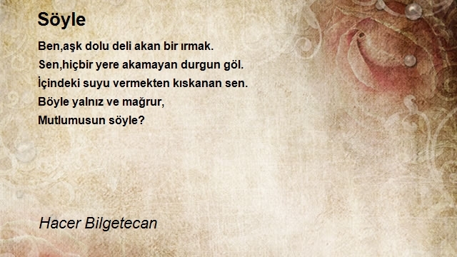 Hacer Bilgetecan