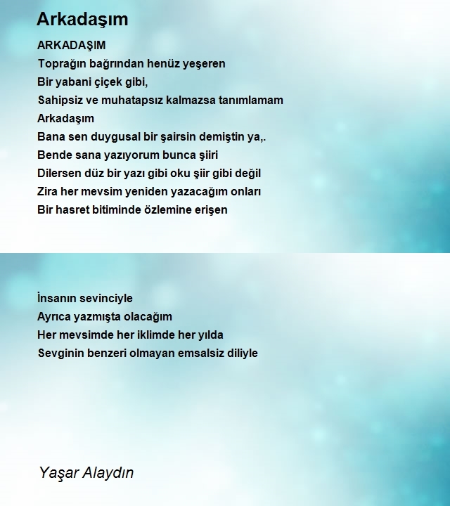 Yaşar Alaydın