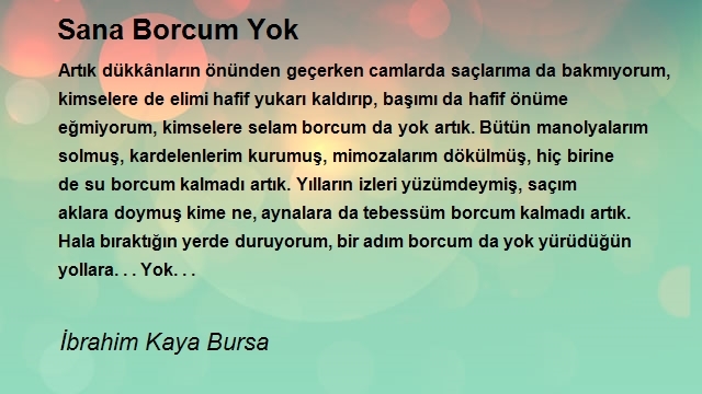 İbrahim Kaya Bursa